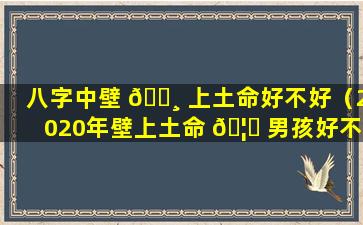 八字中壁 🌸 上土命好不好（2020年壁上土命 🦁 男孩好不好）